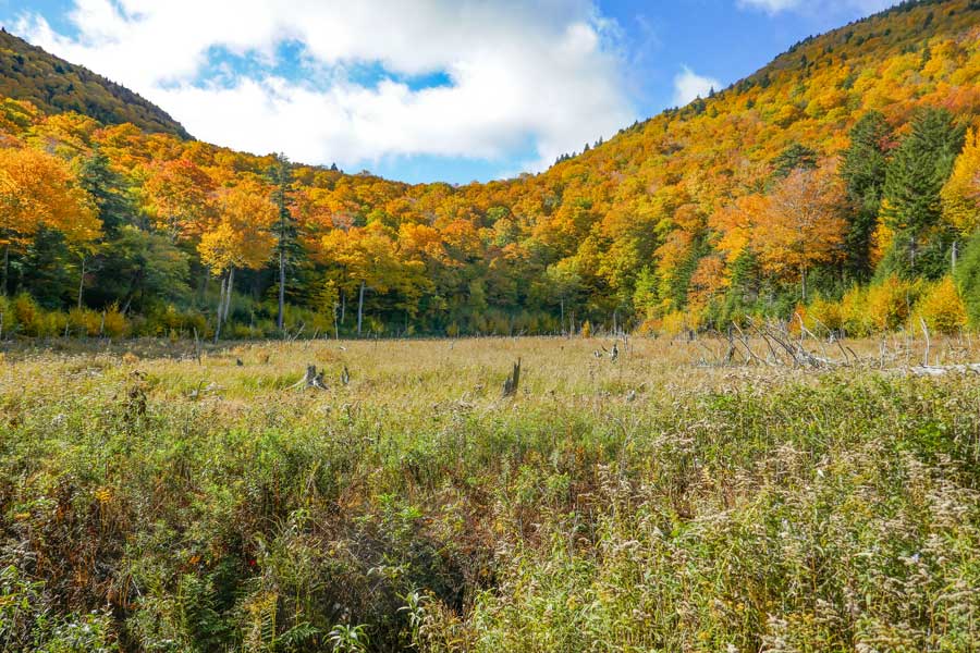 beaver pond on the Pecoy Notch Trail below Twin Mountain