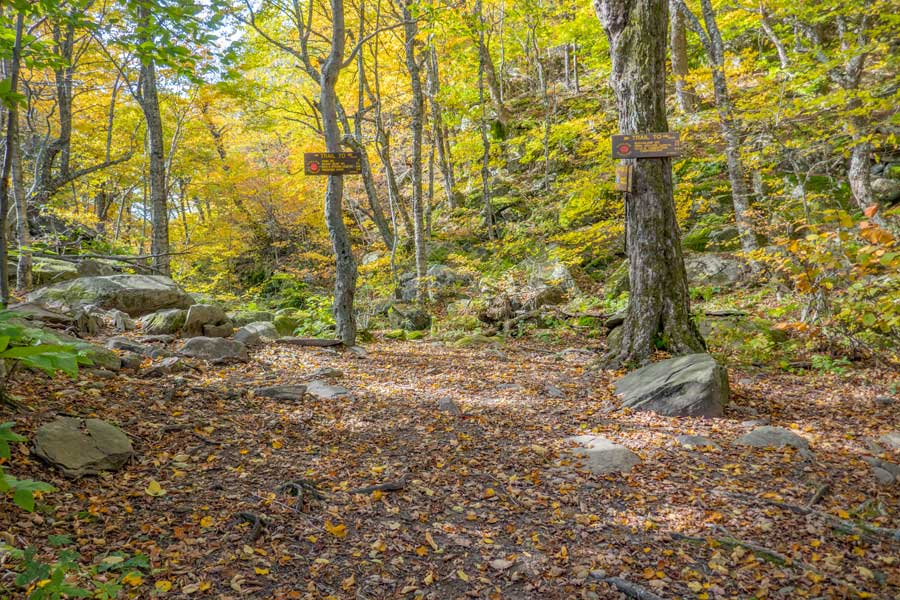 Pecoy Notch between Twin Mountain and Sugarloaf Mtn