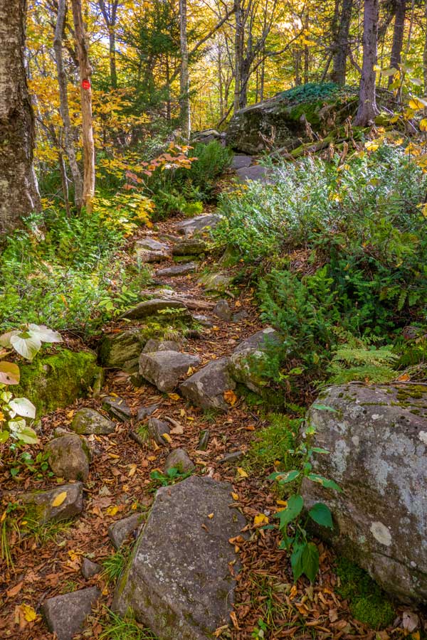 beginning of the Devil's Path up the northwestern side of Twin Mtn