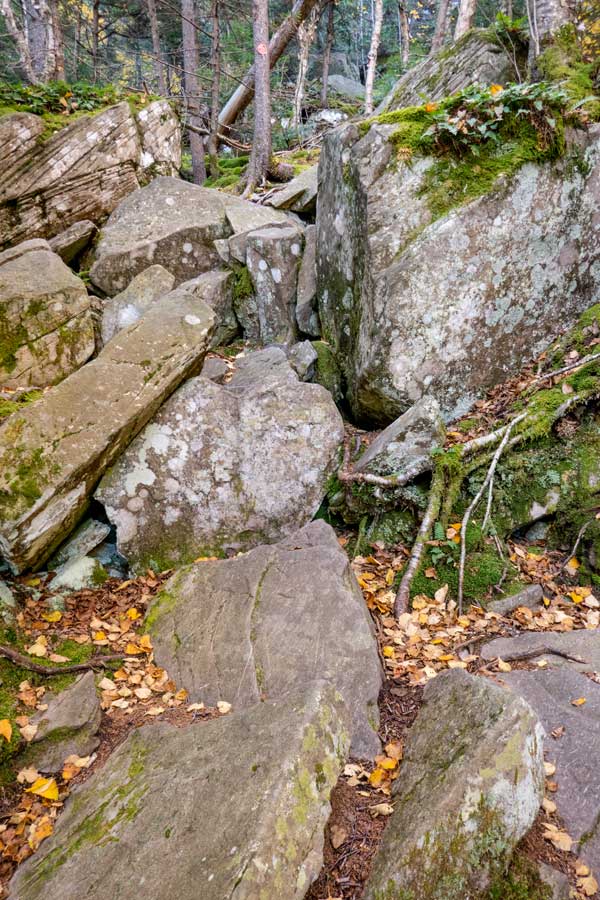 rooty section of the Pecoy Notch Trail