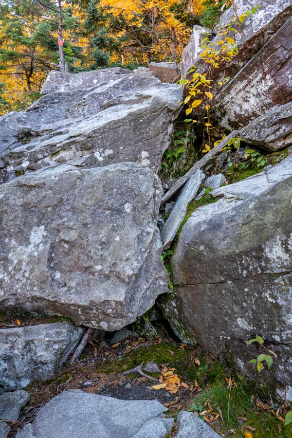 difficult section of the western side of Twin Mtn on the Devil's Path