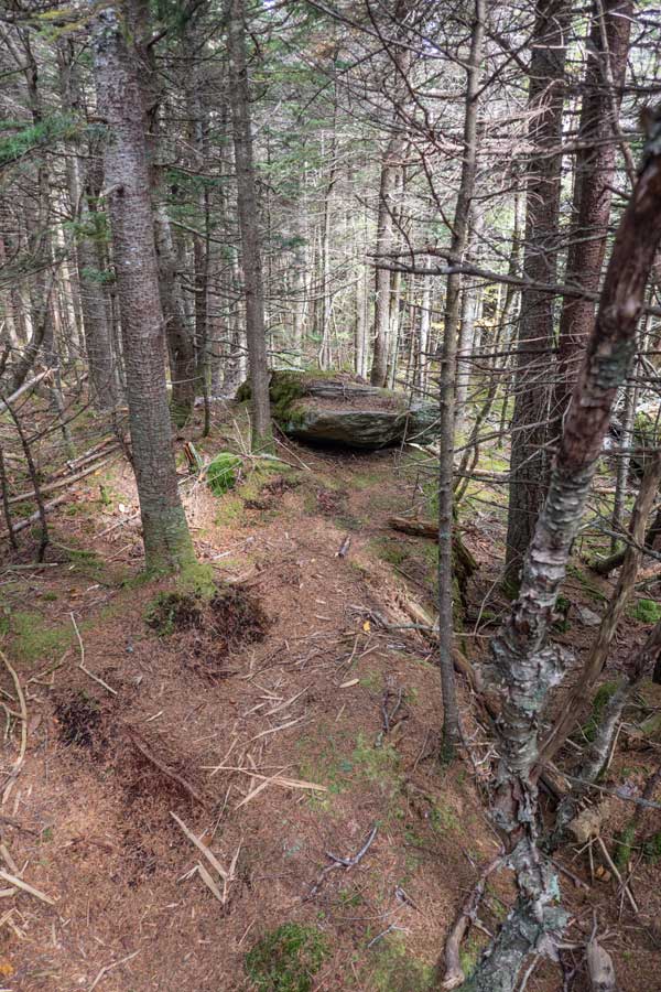 summit of Twin Mountain