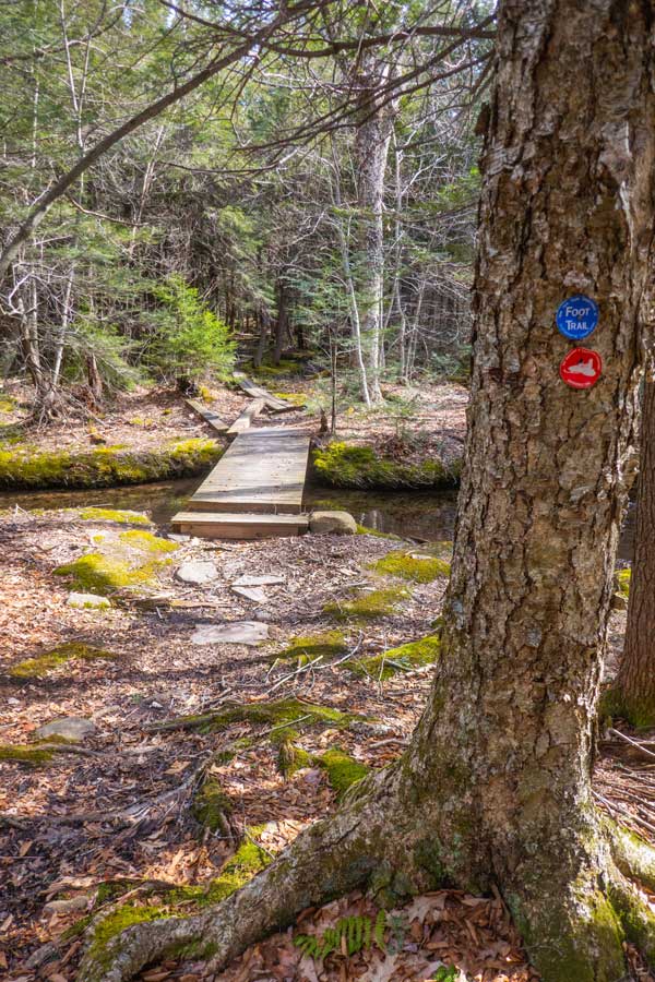 small bridge just past trail junction to huckleberry point