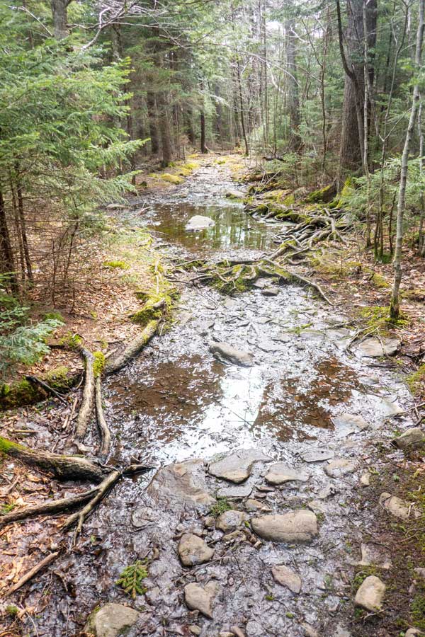 wet part of the trail to Kaaterskill High Peak