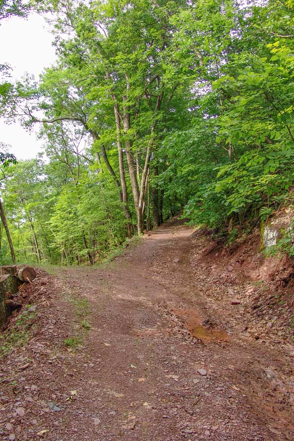giant steps on the Long Path