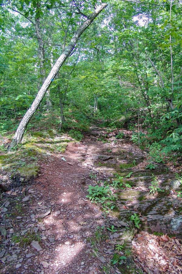 view of the Kaaterskill clove, Indian Head ledge, and Palenville Overlook on the long path