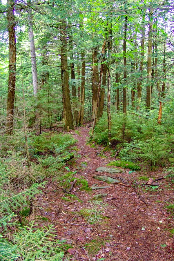beginning of poet's ledge