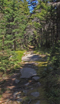 Kaaterskill High Peak indian side trail