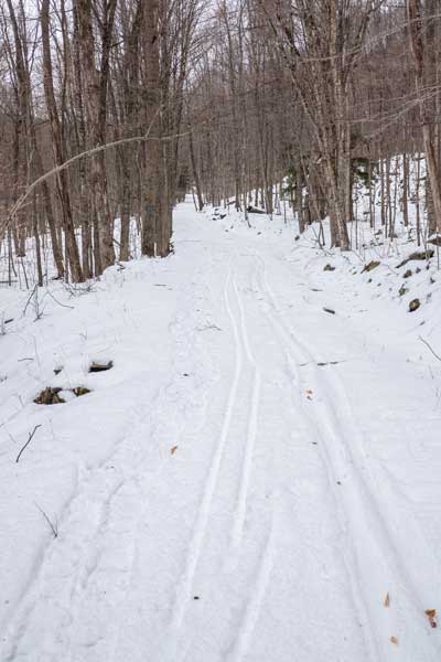 view of Colonel Rochester Trail