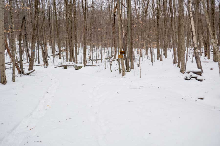 Trail junction for Colonel Rochester Trail and Burroughs Memorial Trail