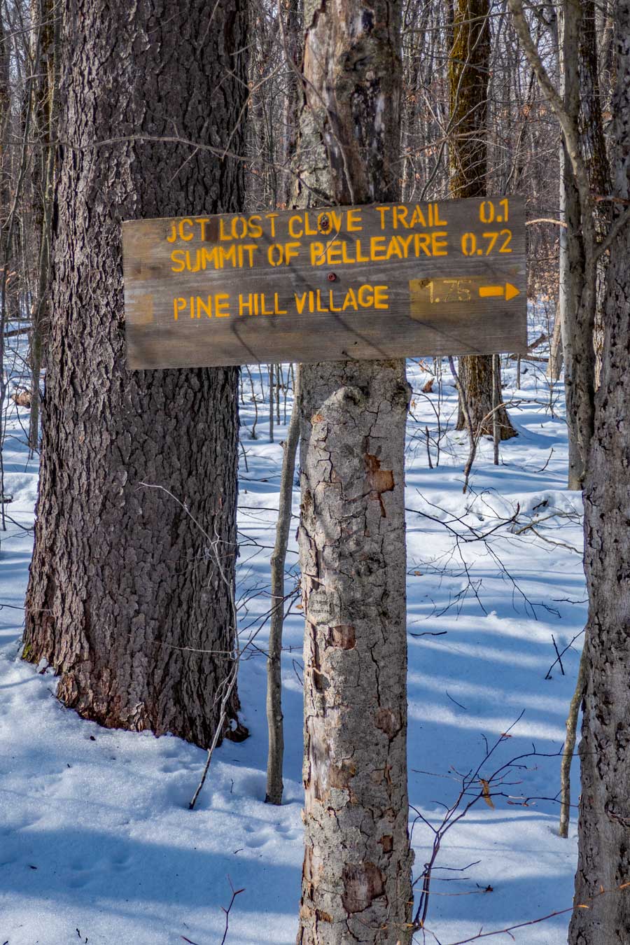 sign at the trail junction of Woodchuck Hollow Trail