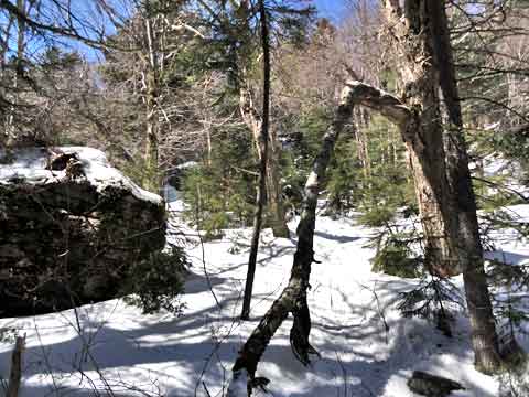 hidden chute up the upper ledge on friday mountain in the catskill mountains