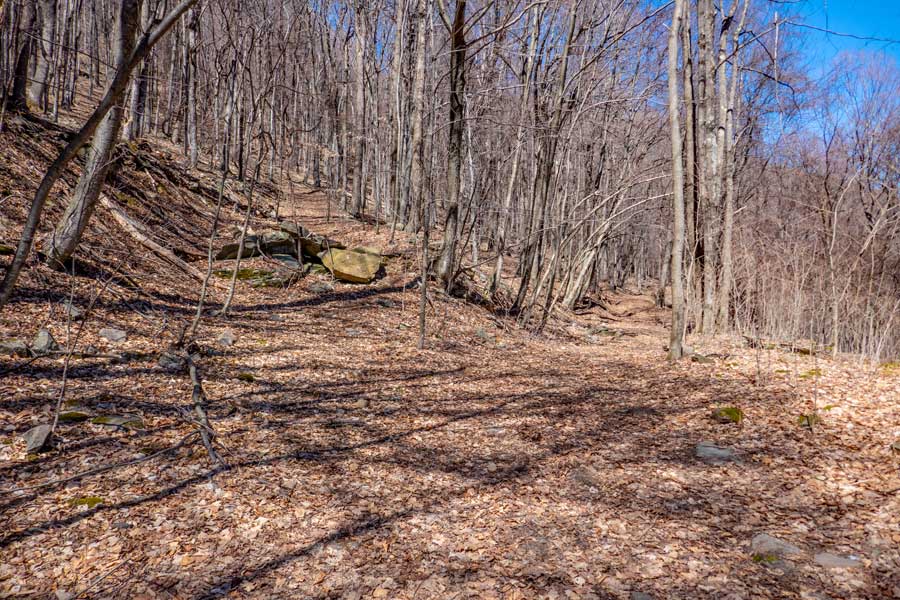 Grape vines clogging the trail on the Breath Hill trail and created a view spot of Ashokan High Peak and Little Rocky Mountain. 