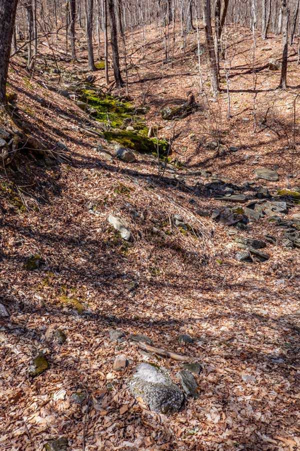 storm water ravine on the Breath Hill Trail