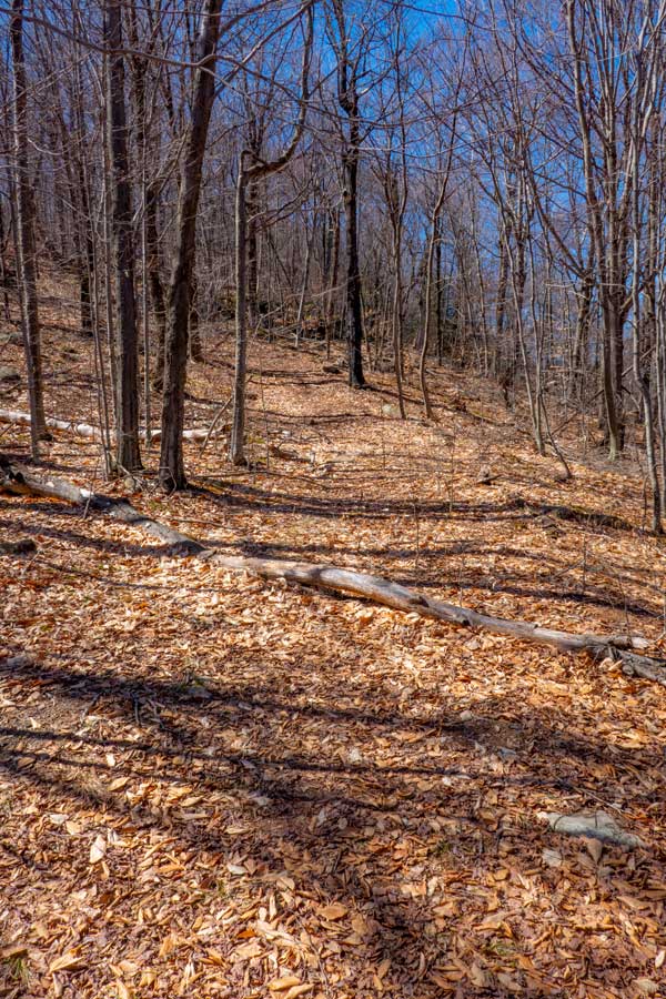 Breath Hill Trail