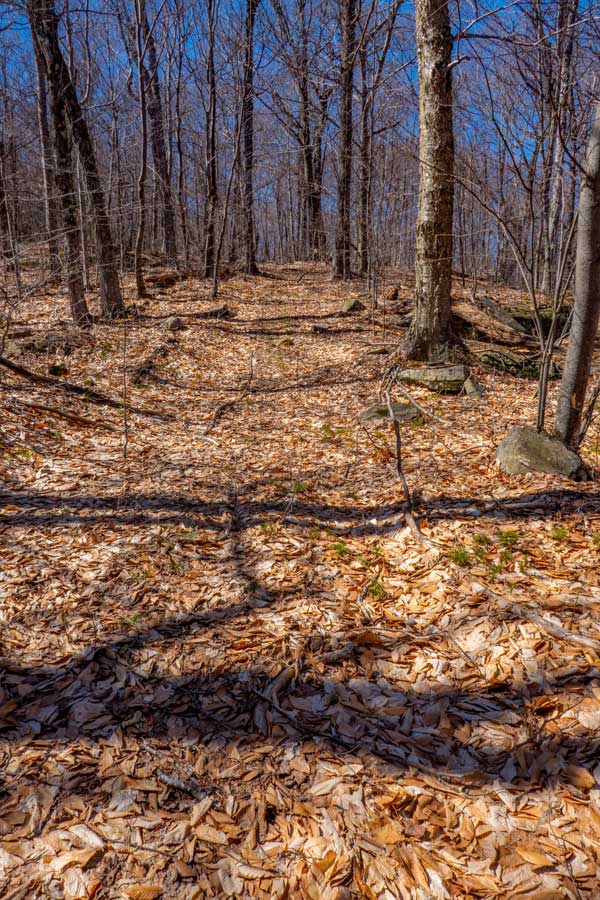 the Breath Hill Trail in the slide mountain wilderness in the catskill mountains.