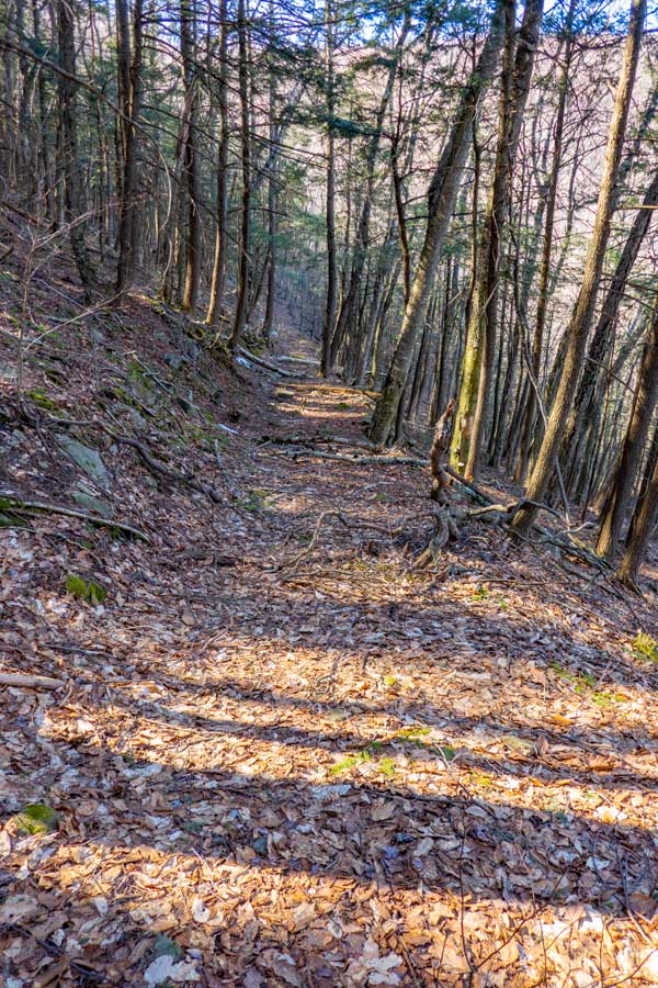 Side trail 7/10 of a mile up the Breath Hill Trail