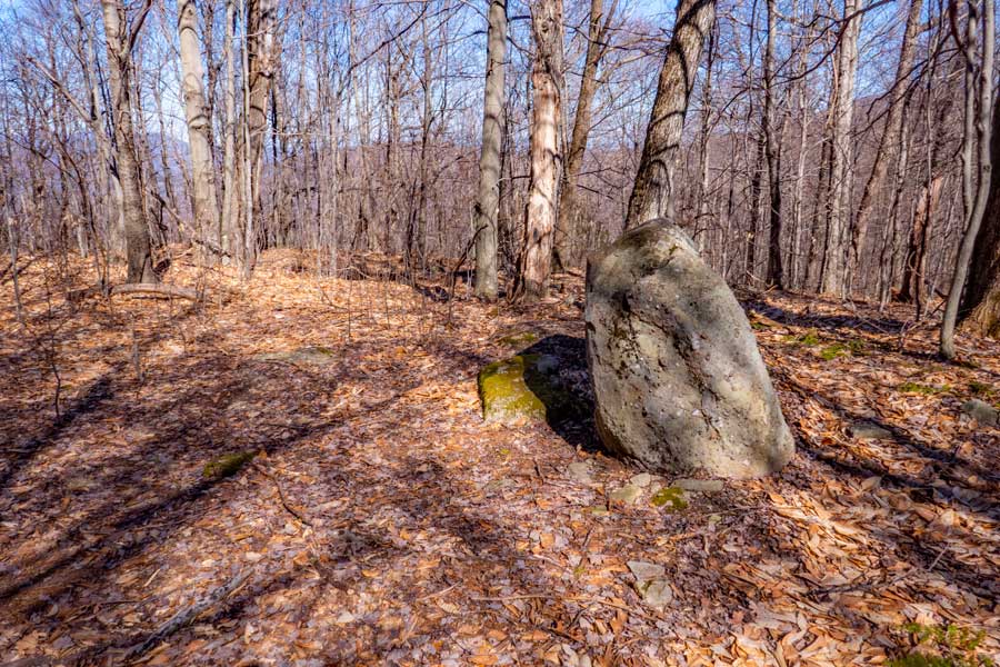 rock on the side of the Breath Hill Trail
