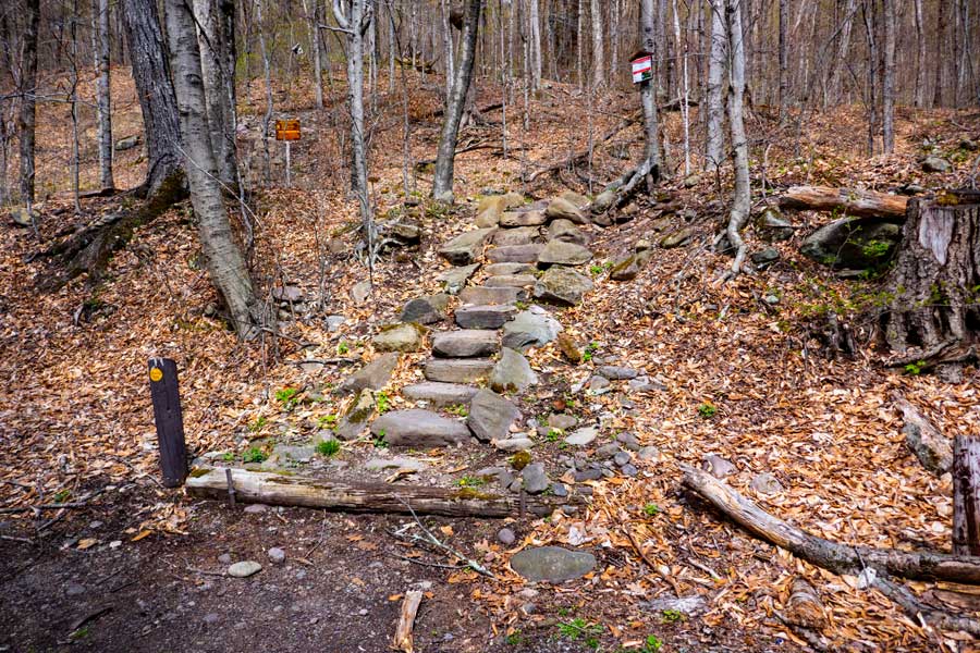 Trail Head for the East Branch of the Phoenicia Trail that goes to Giant Ledge and Panther Mountain