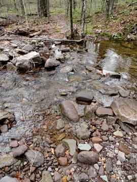 donovan brook on the neversink creek