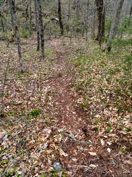 trail on the fishermans path on the neversink creek