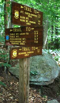 trail junction for curtis-ormsbee trail and lone and rocky mountain