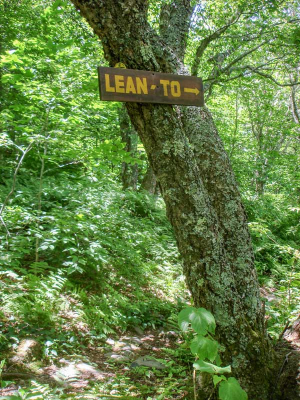 trail to lean-to on table mountain