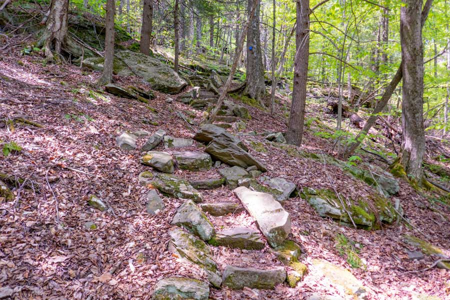 steps up the slightly steeper sections of the trail to Romer Mountain