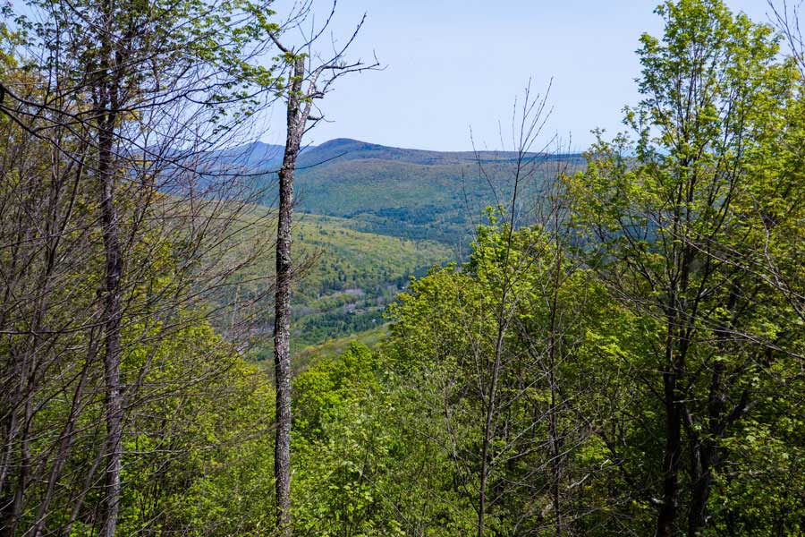 View spot on south of Romer Mountain  in the slide mountain wilderness