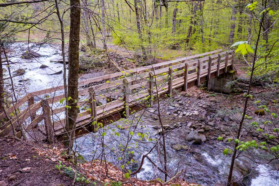bridge over the Woodland Creek on the Phoenicia East Branch Trail  