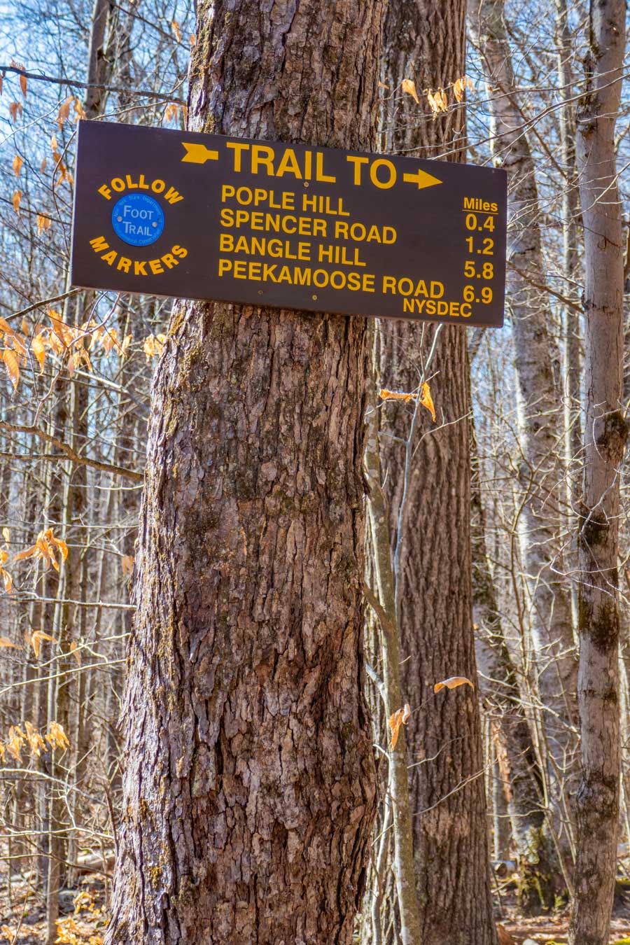 DEC sign at the Trail junction for Pople Hill Trail off of Flat Hill Trail 