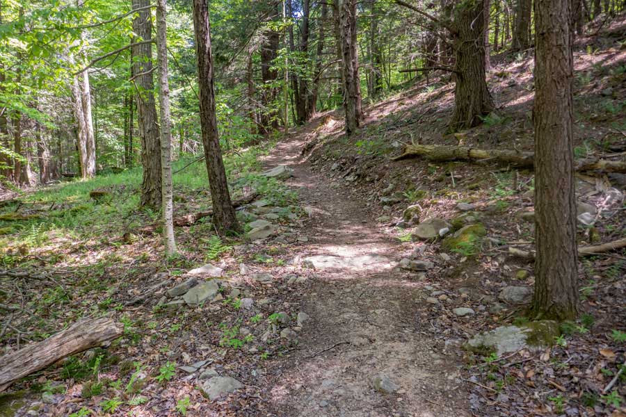 typical section of the trail for the hike to Red Hill Fire Tower