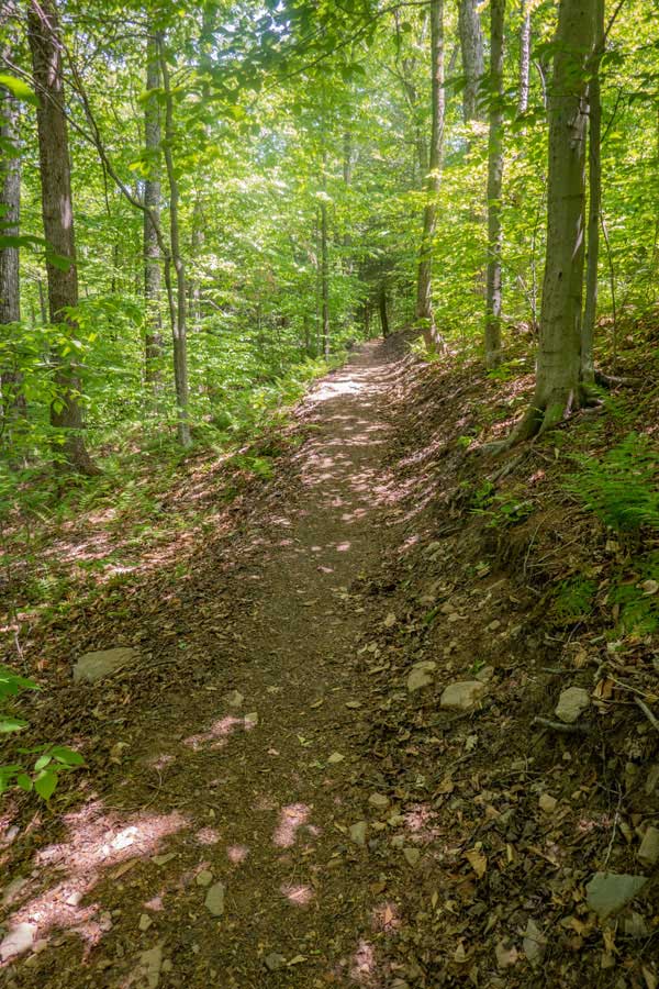 trail after the third sprial stone staircase on the lower section of the Red Hill Fire Tower trail