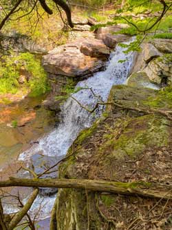 Huntersfield Creek Waterfall #1