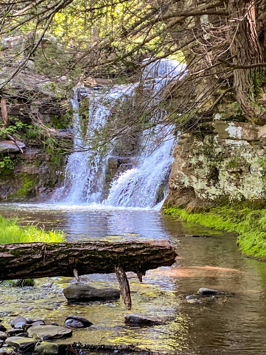 Huntersfield Falls #2 off Huntersfield Creek Falls Trail