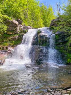 Huntersfield Creek Waterfall #1