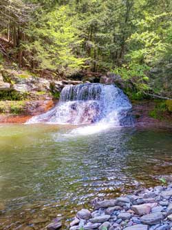 Huntersfield Creek Waterfall #1