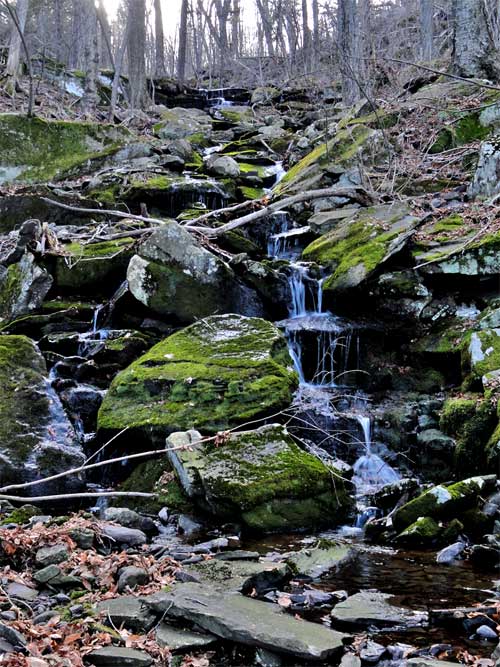Upper Viola Falls in the hillyer ravine