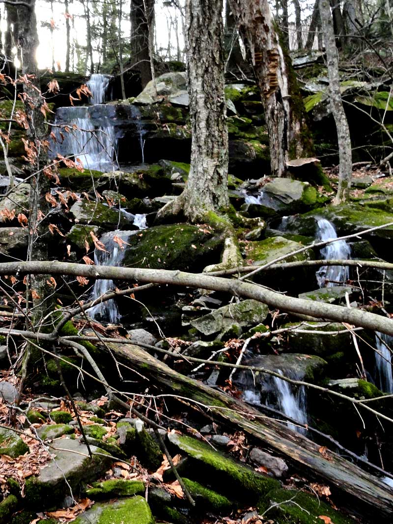 upper viola falls in the hillyer ravine in the kaaterskill clove in the catskill mountains