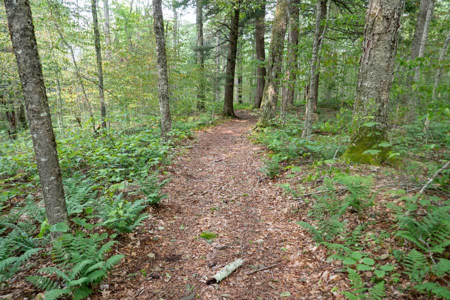 beginning of the Long Pond Trail off Flugertown Road