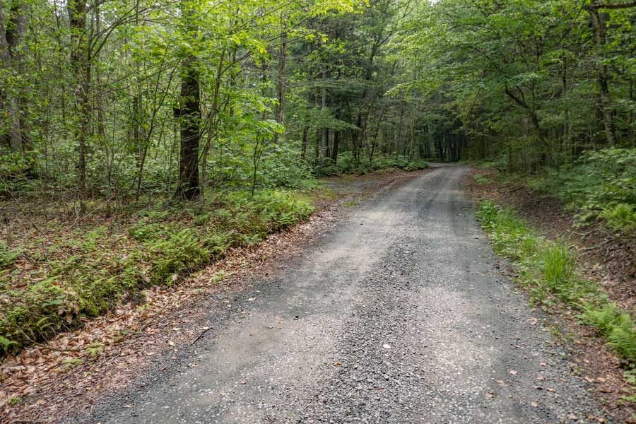 Trailhead for Long Pond Trail off Flugertown Road