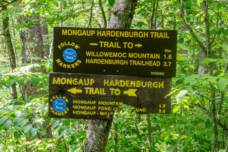 DEC Trail Signs at the Trail Junction to the Mongaup-Hardenburg Trail with the Long Pond - Beaver Kill Ridge Trail