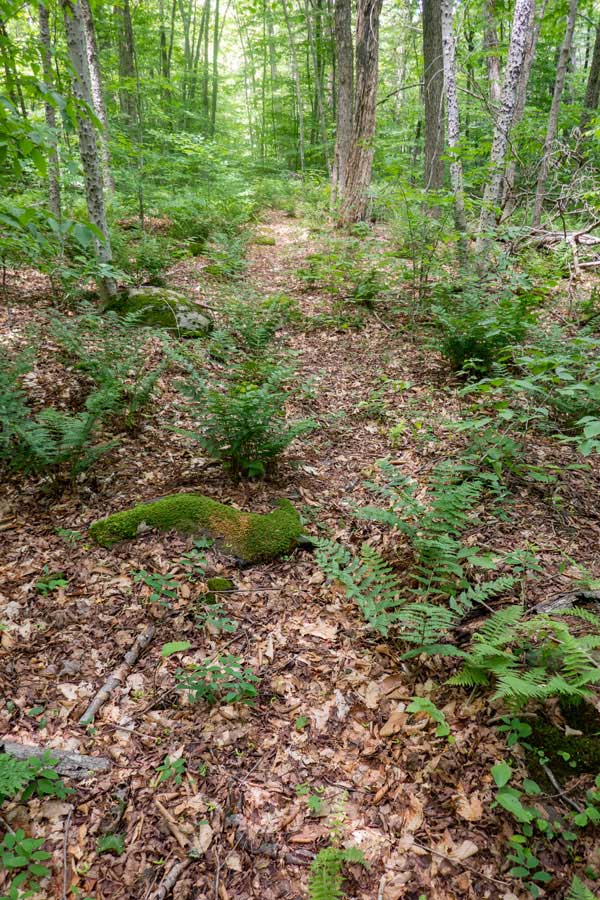 col between west sand pond mountain and east mongaup mountain
