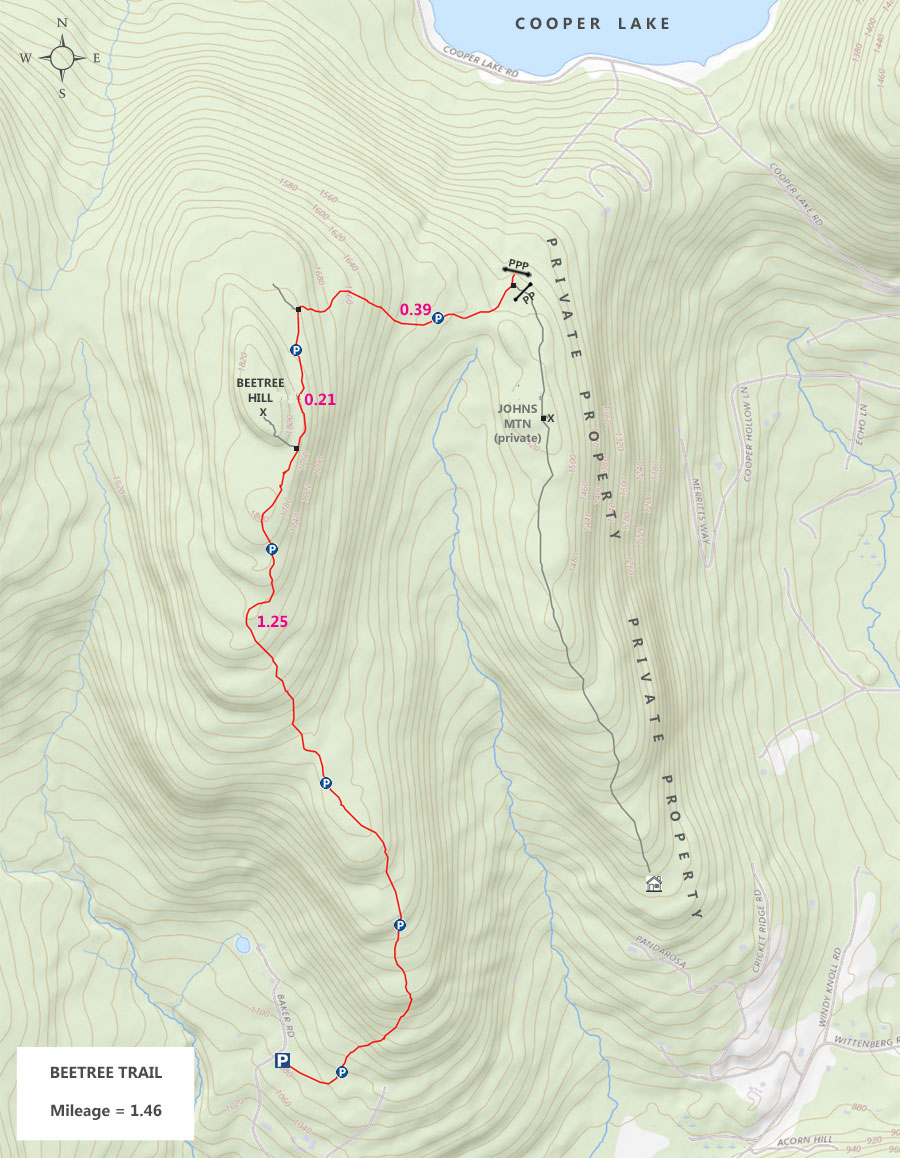 Map of trail to Beetree Hill