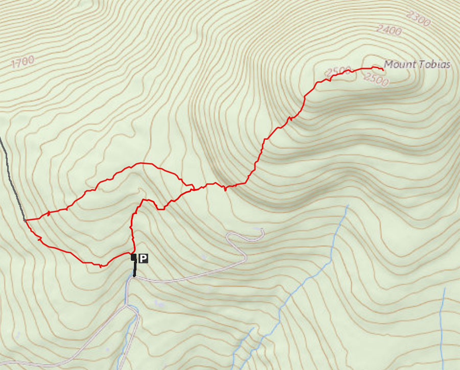 Map of bushwhack to the lower loop and summit of Mt Tobias