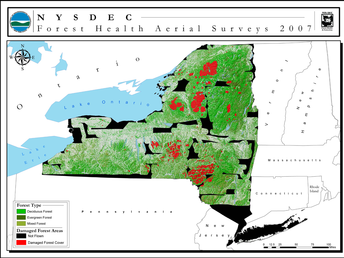 DEC map of forest health in 2007