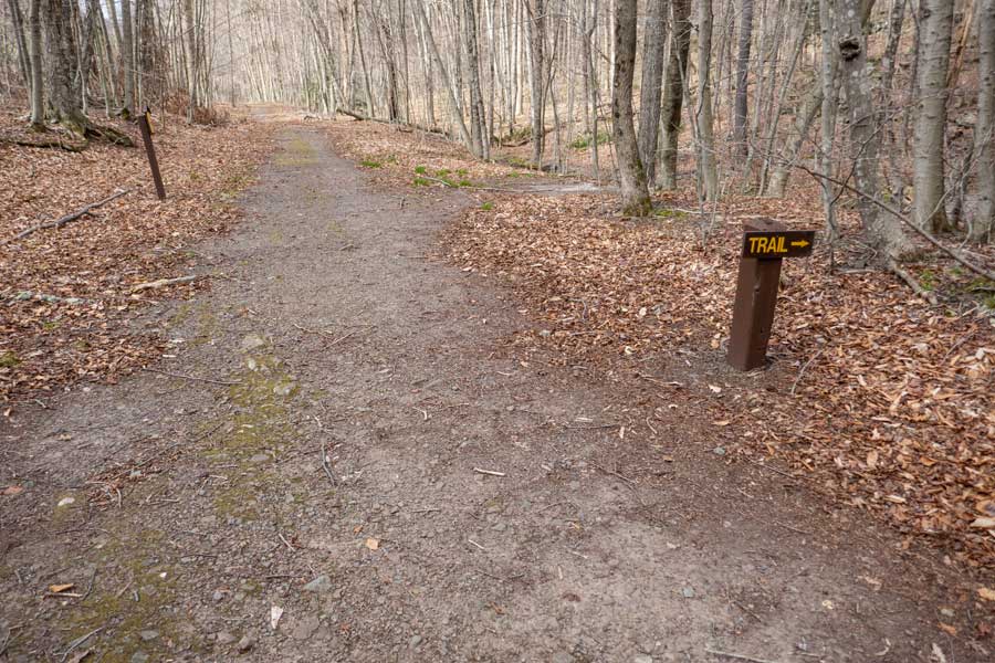 Trail over the creek to the DEC registration box to Hunter Mountain
