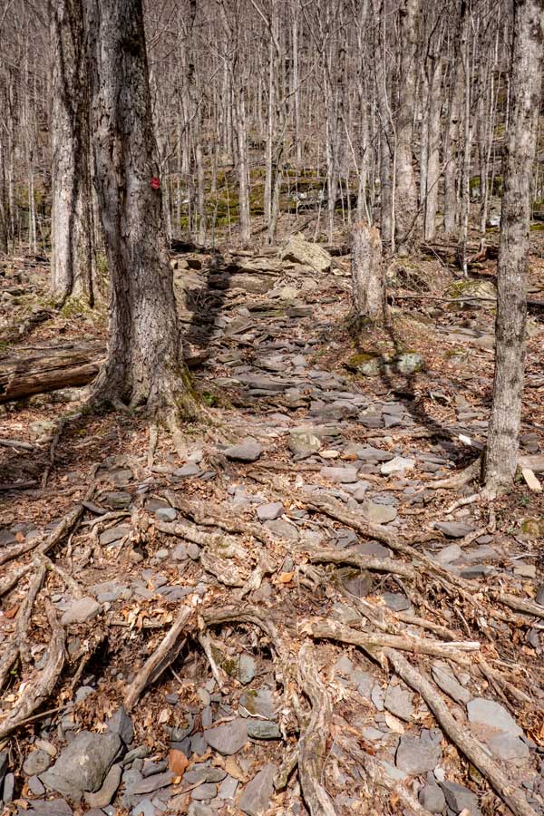 Trail is steep and rocky for the first 1/2 mile to Hunter Mountain