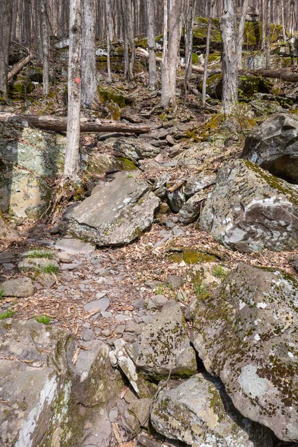 The beginning of the hike to Hunter Mountain is steep and rocky