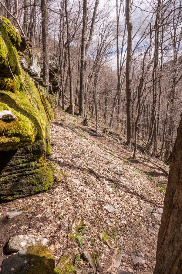first band of ledges on the hike from Notch Lake on the Devil's Path